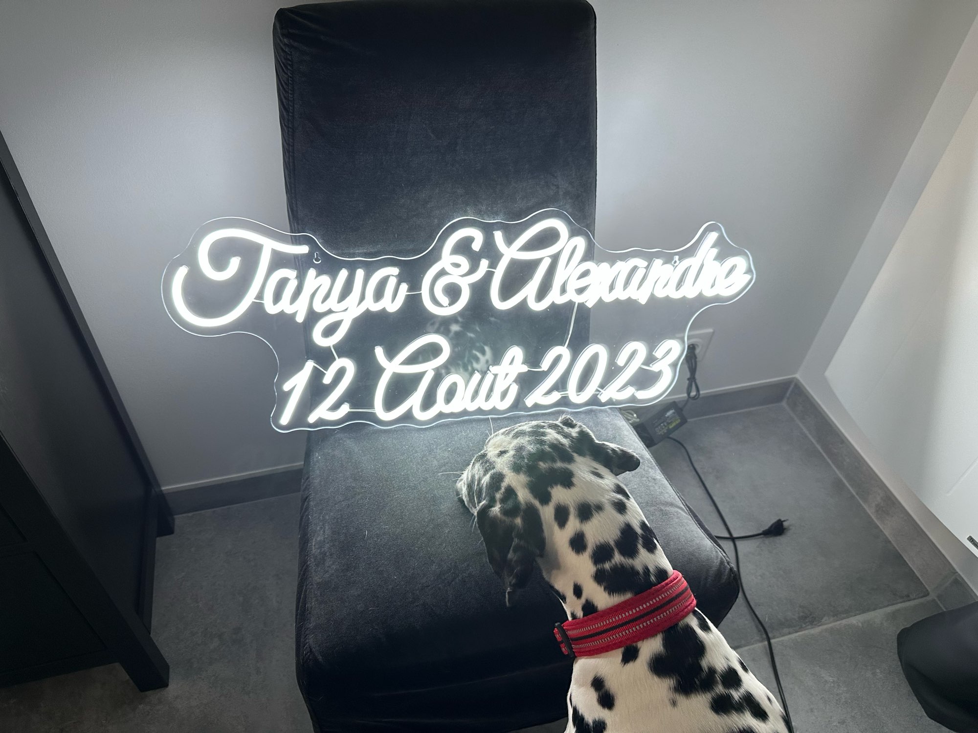 علامة ضوء نيون LED مخصصة لتزيي - مراجعة Home Decor Logo Design وسعره